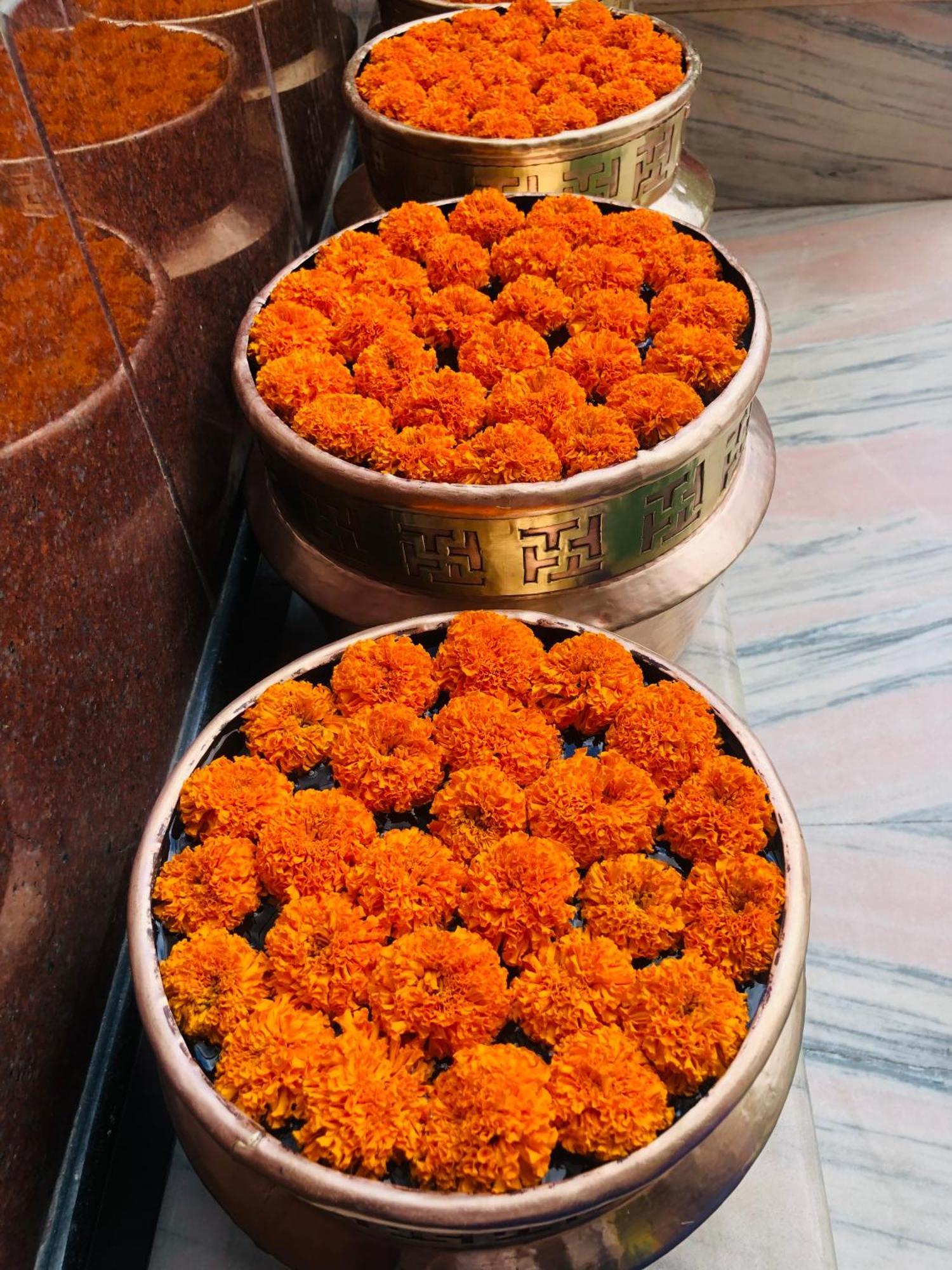 Kathmandu View Hotel Dış mekan fotoğraf